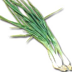 VERDURAS CEBOLLA CHINA    EXONERADOUN    1.00 UN
