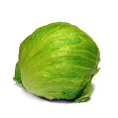 VERDURAS LECHUGA ESCAROLA EXONERADOUN    1.00 UN