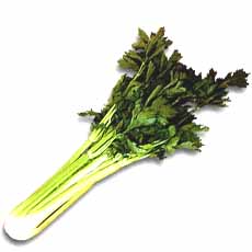 VERDURAS APIO EXONERADOUN    1.00 UN