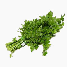 VERDURAS PEREJIL MAZO EXONERADOUN    1.00 MZ